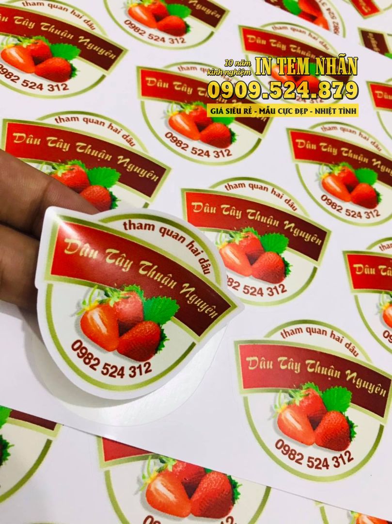 In sticker decal giấy tại tp.HCM -  Siêu In Ấn 0909524879